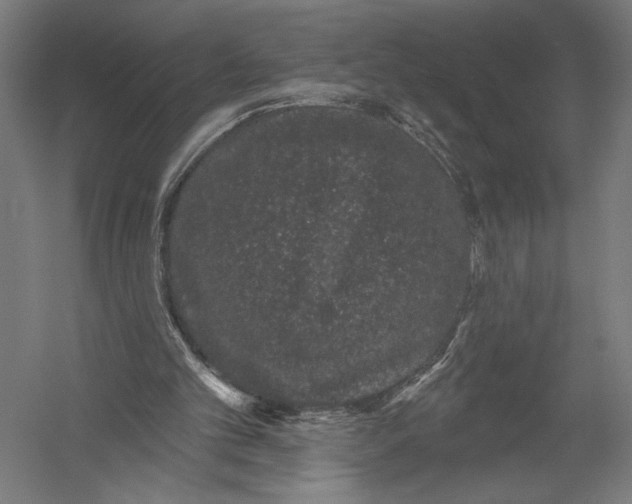X0000052960101200507300122