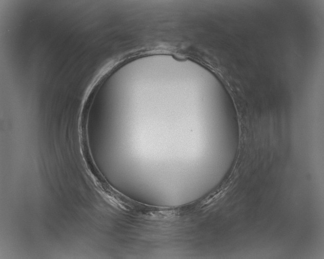 X0000052960102200507300122