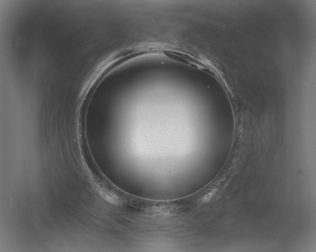 X0000052960103200507300122