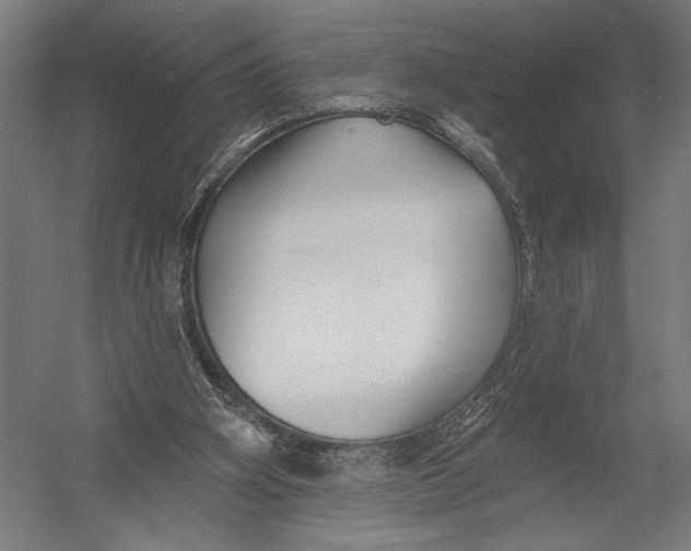 X0000052960106200507300122