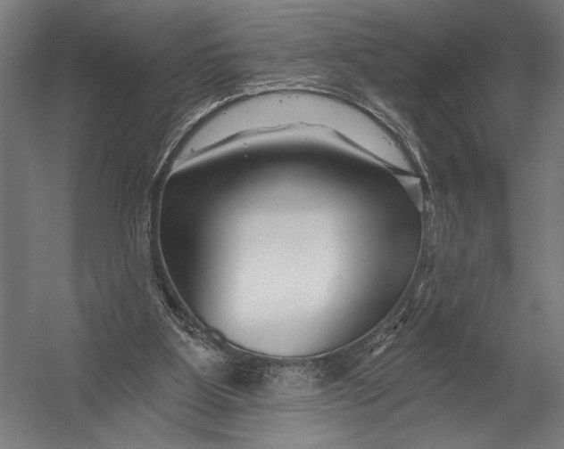 X0000052960107200507300122