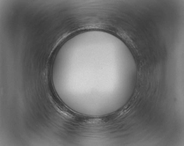 X0000052960108200507300122