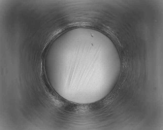 X0000052960110200507300121