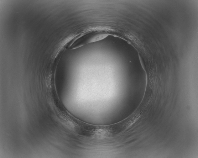 X0000052960111200507300121