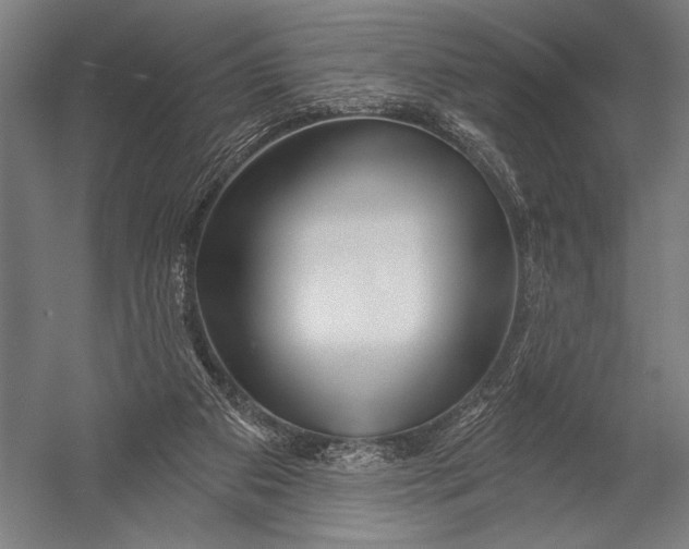 X0000052960113200507300121