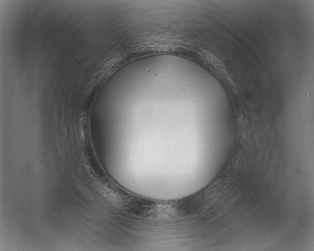 X0000052960114200507300121