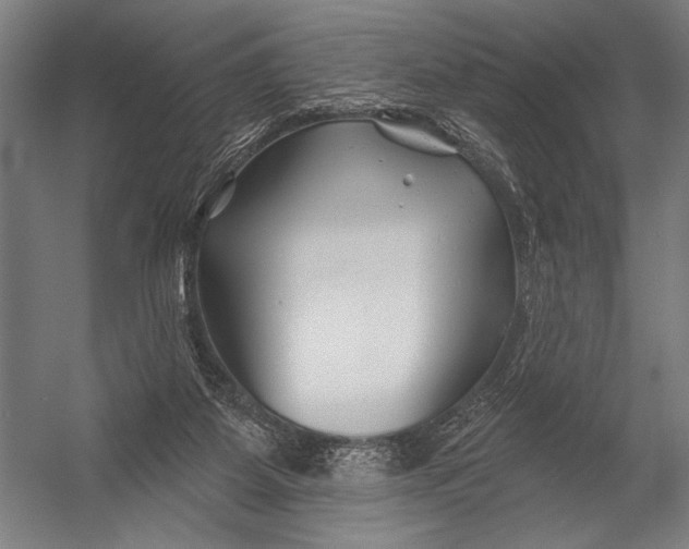 X0000052960115200507300121