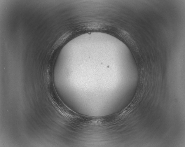 X0000052960116200507300121