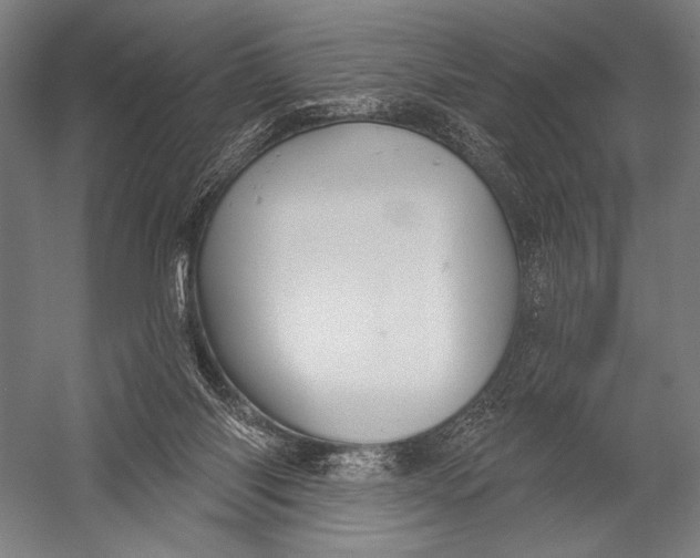 X0000052960118200507300121