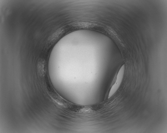 X0000052960119200507300121