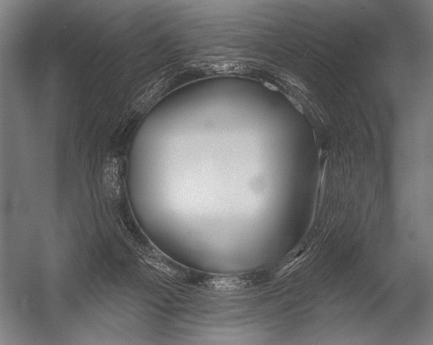 X0000052960121200507300121