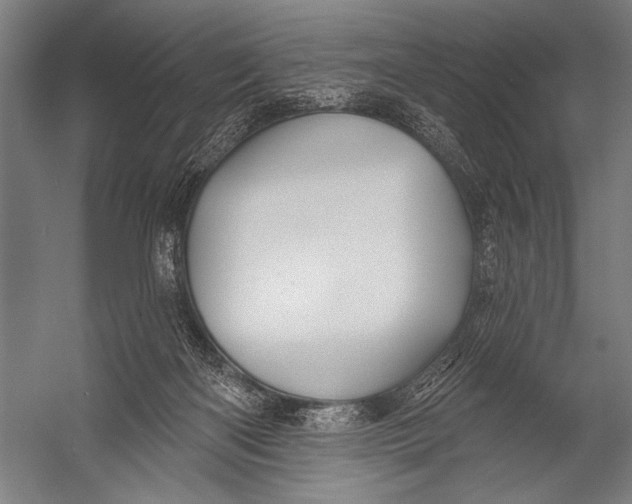 X0000052960122200507300121
