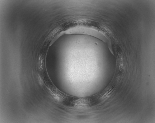 X0000052960123200507300121