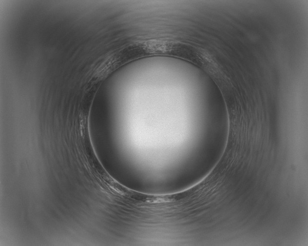 X0000052960125200507300121