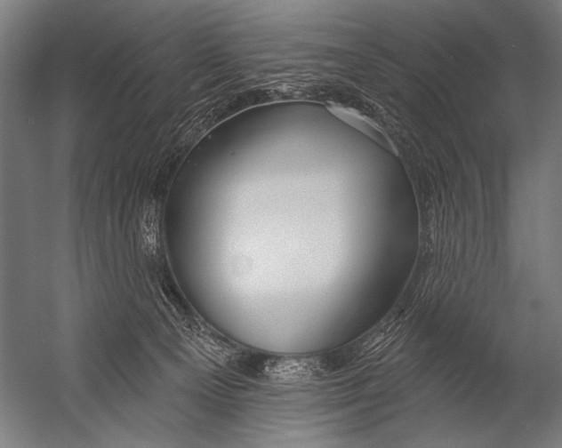 X0000052960129200507300121
