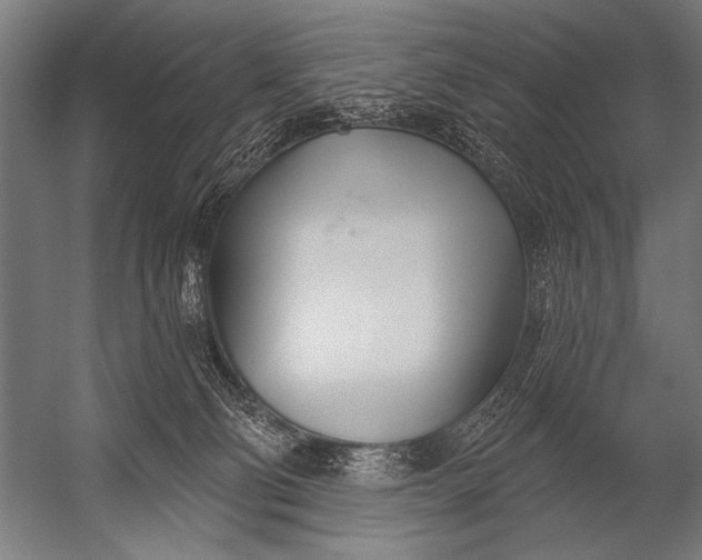 X0000052960130200507300121