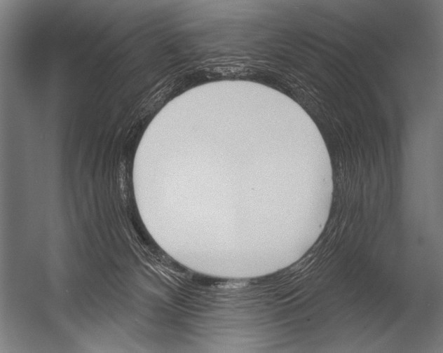 X0000052960132200507300121