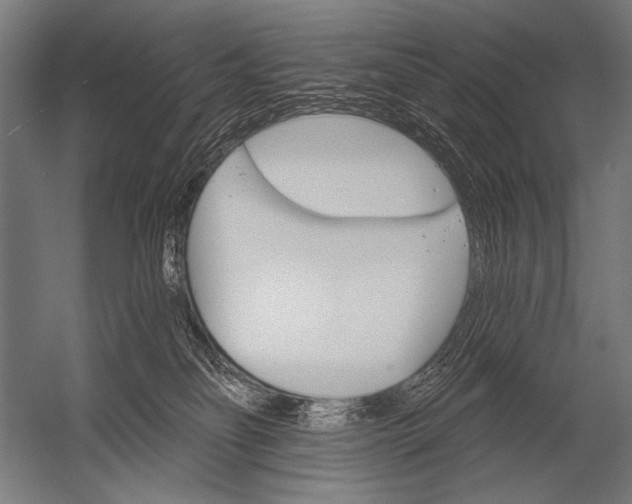 X0000052960134200507300121