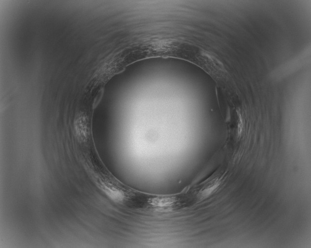 X0000052960135200507300121