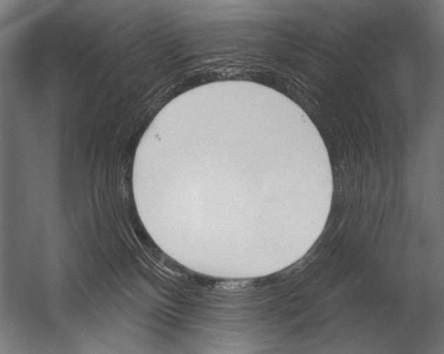 X0000052960136200507300121