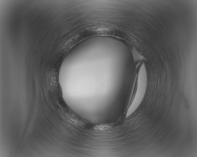 X0000052960137200507300121