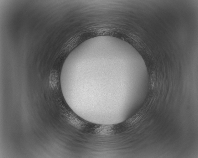 X0000052960138200507300121