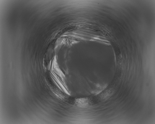 X0000052960139200507300121
