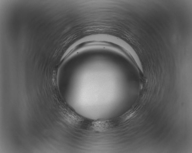 X0000052960141200507300121