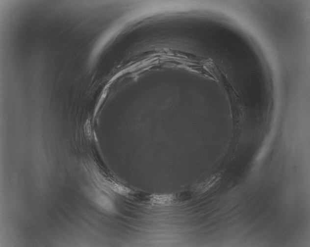 X0000052960143200507300121