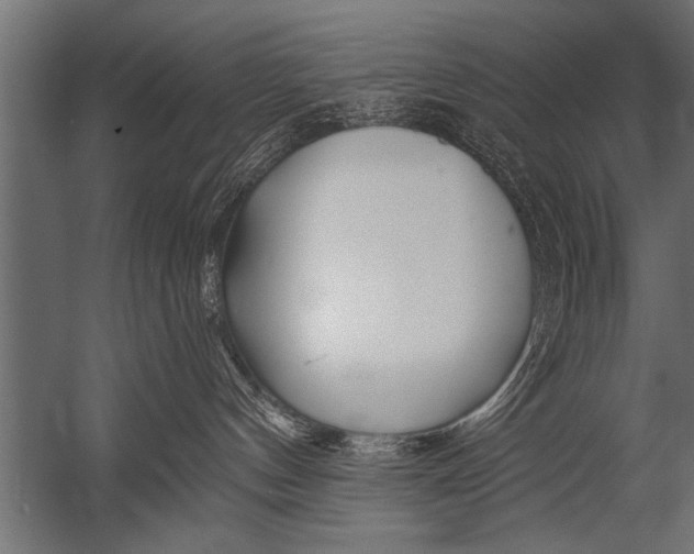 X0000052960144200507300121