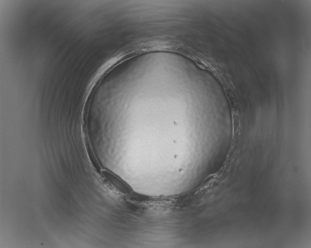 X0000052960147200507300120
