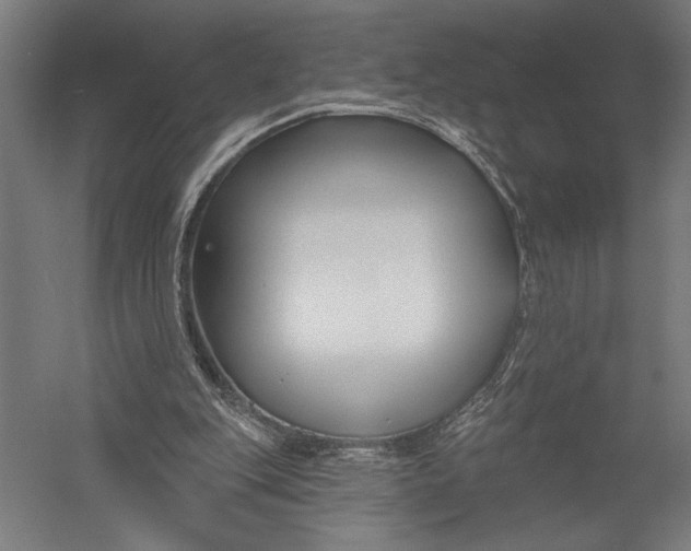 X0000052960151200507300120