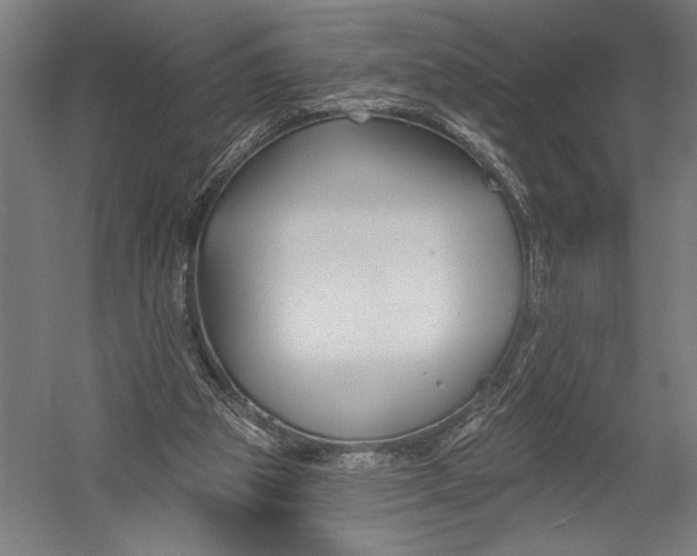 X0000052960153200507300120