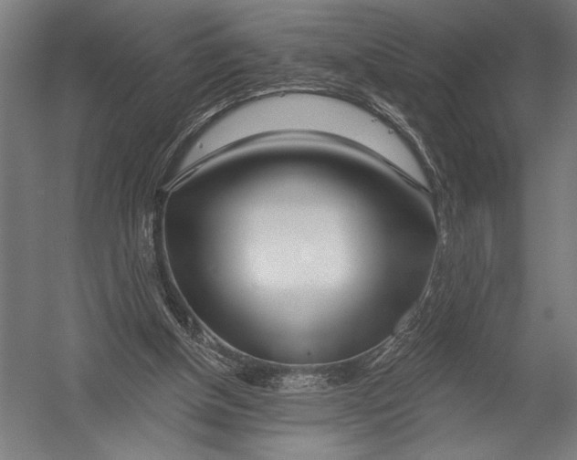 X0000052960154200507300120