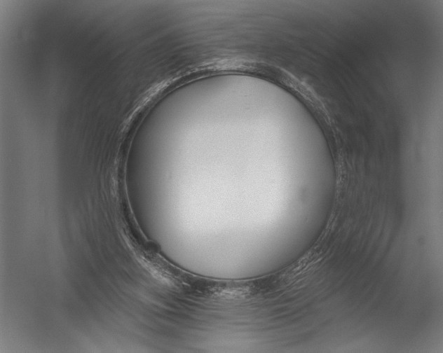X0000052960155200507300120