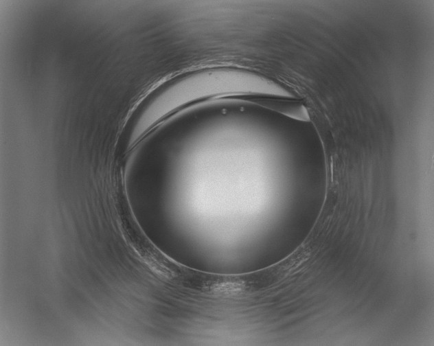X0000052960156200507300120