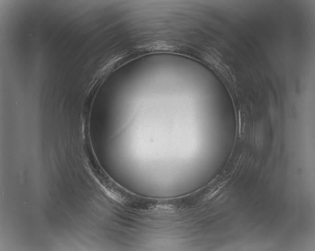 X0000052960157200507300120