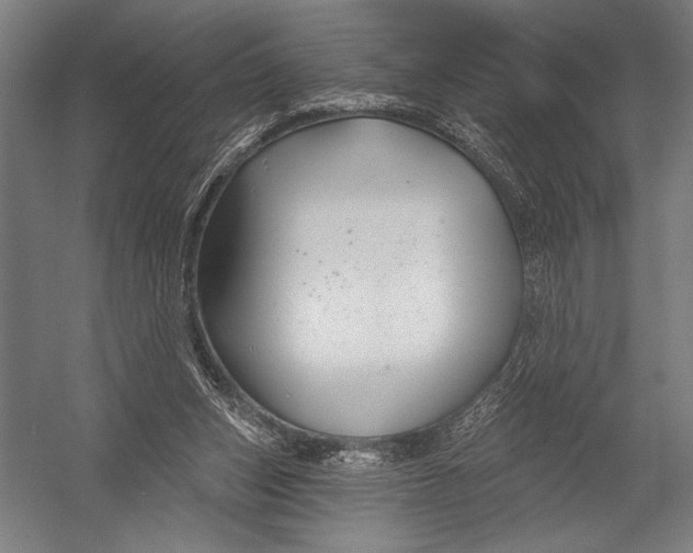 X0000052960159200507300120