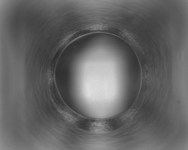 X0000052960164200507300120