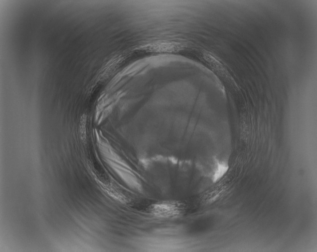 X0000052960167200507300120