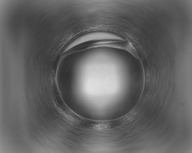 X0000052960168200507300120