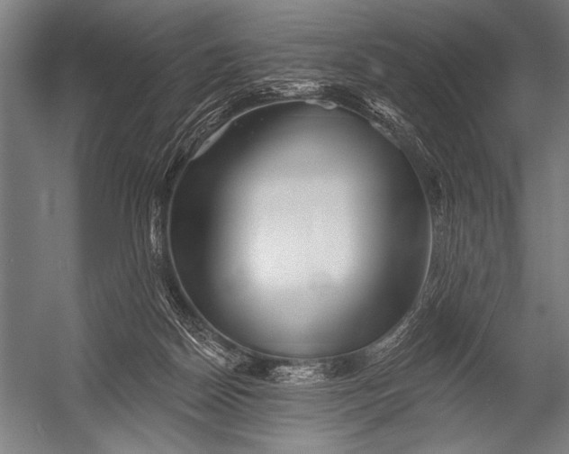 X0000052960170200507300121