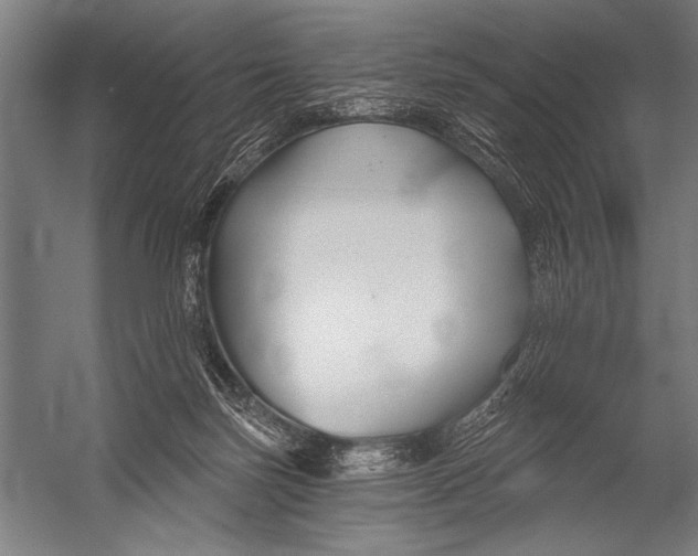 X0000052960171200507300121