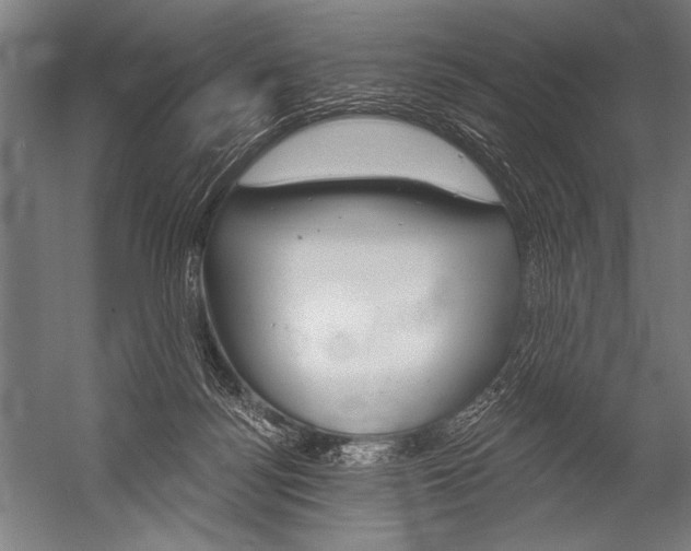 X0000052960172200507300121