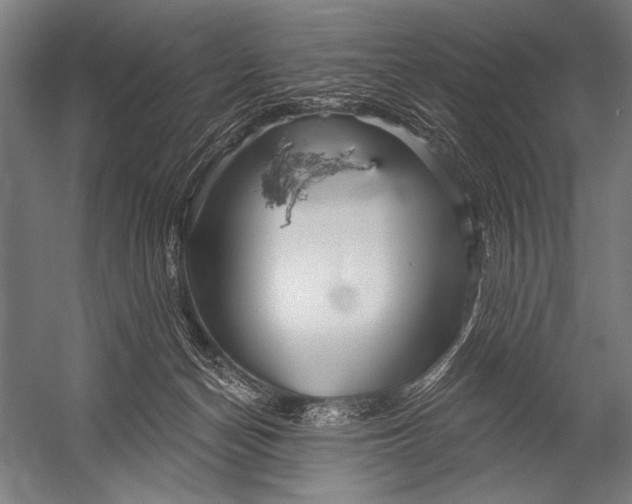 X0000052960174200507300121