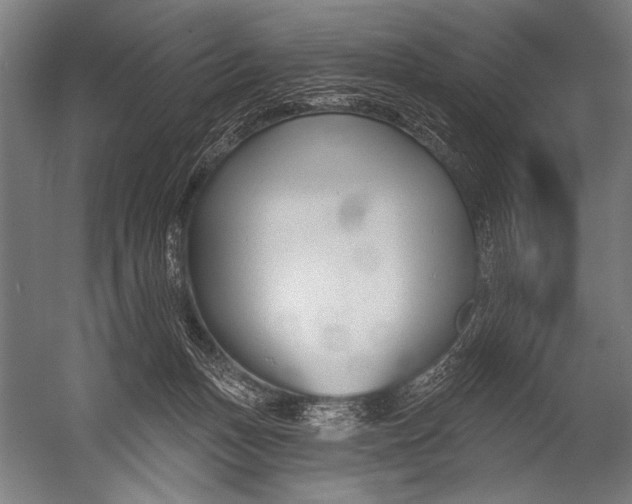 X0000052960175200507300121