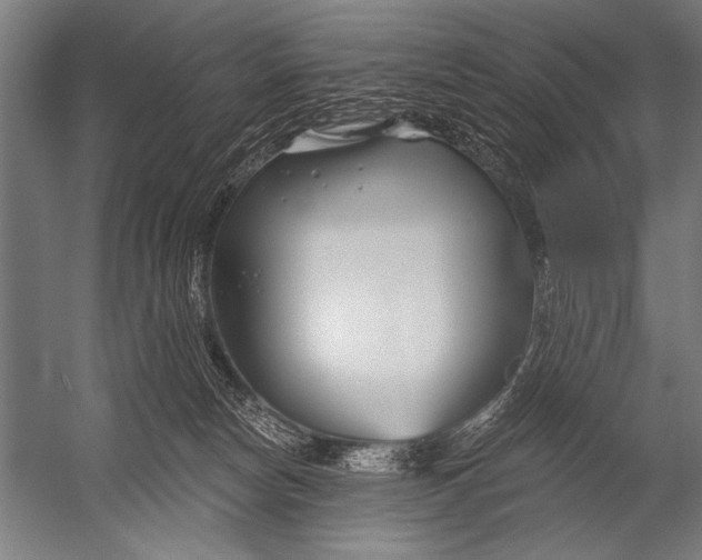 X0000052960178200507300121