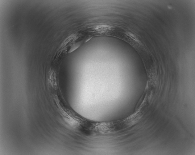 X0000052960182200507300121