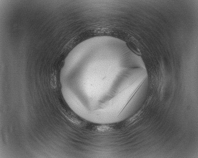 X0000052960183200507300121