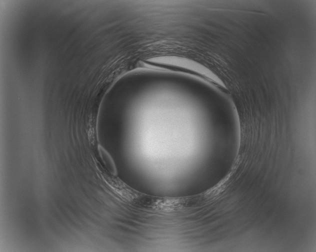 X0000052960186200507300121